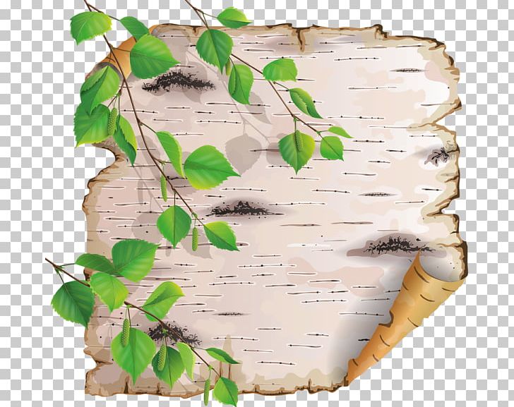 Paper PNG, Clipart, Art, Bark, Birch, Branch, Drawing Free PNG Download