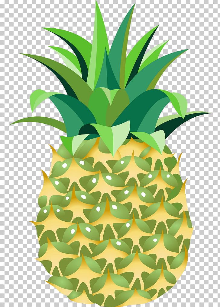 Pineapple PNG, Clipart, Agave, Ananas, Bromeliaceae, Computer Icons, Download Free PNG Download