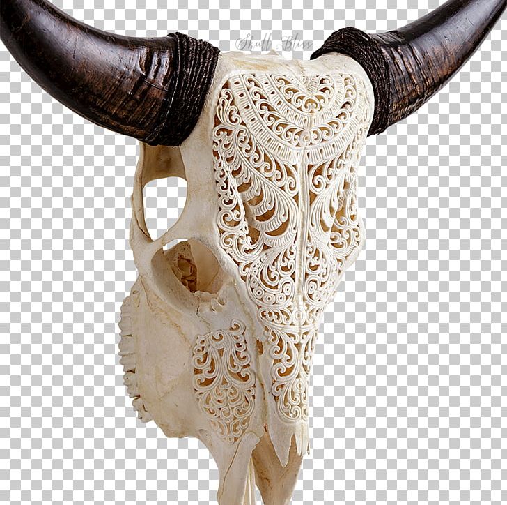 Shorthorn Skull Sahiwal Cattle Goat PNG, Clipart, 2017, Animal, Bone, Cattle, Dairy Free PNG Download