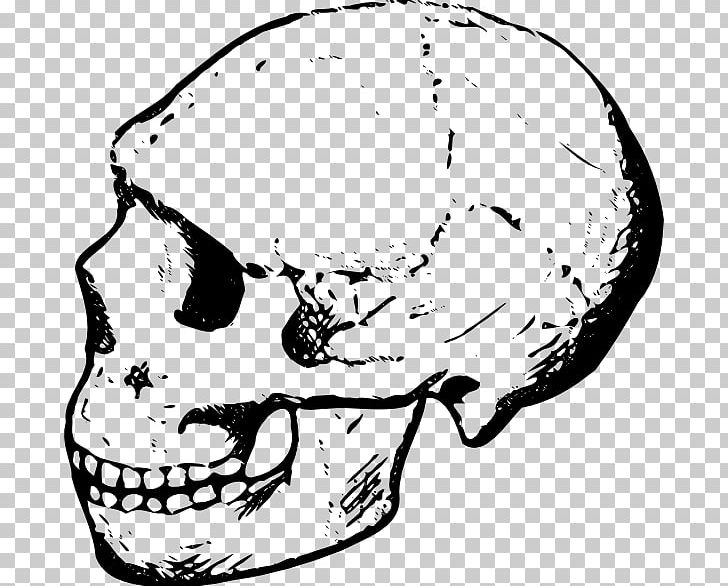 Skull Black And White PNG, Clipart, Ball, Black And White, Bone, Color, Download Free PNG Download