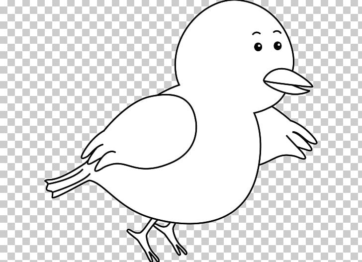 Bird Chicken Black And White Domestic Pigeon PNG, Clipart, Animal, Area, Artwork, Beak, Bird Flight Free PNG Download