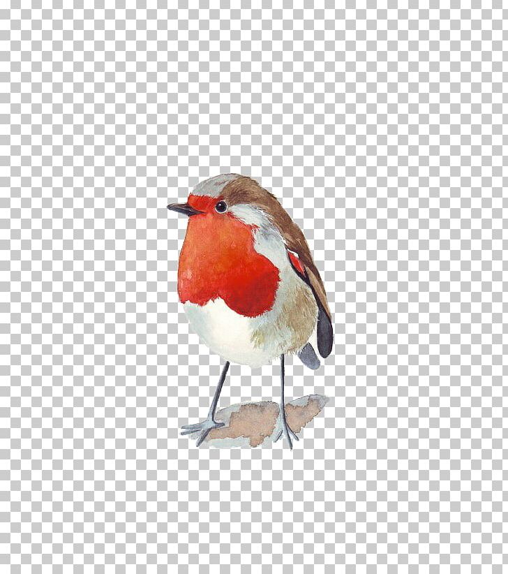 Bird Watercolor Painting Architecture In Watercolor Wren PNG, Clipart, Animals, Art, Artist, Beak, Cardinal Free PNG Download