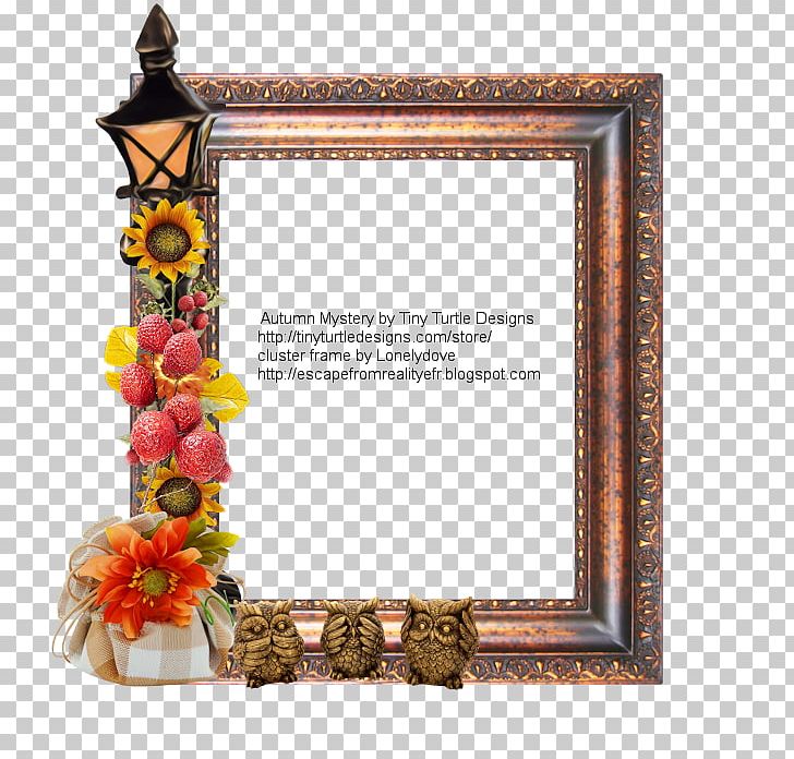 Frames Rectangle Flower PNG, Clipart, Decor, Flower, Mirror, Nature, Picture Frame Free PNG Download