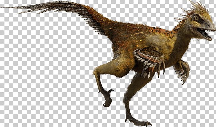 Hesperonychus Troodon Chirostenotes Parksosaurus Stegosaurus PNG, Clipart, Alexornis, Alphadon, Chased By Dinosaurs, Chirostenotes, Dinosaur Free PNG Download