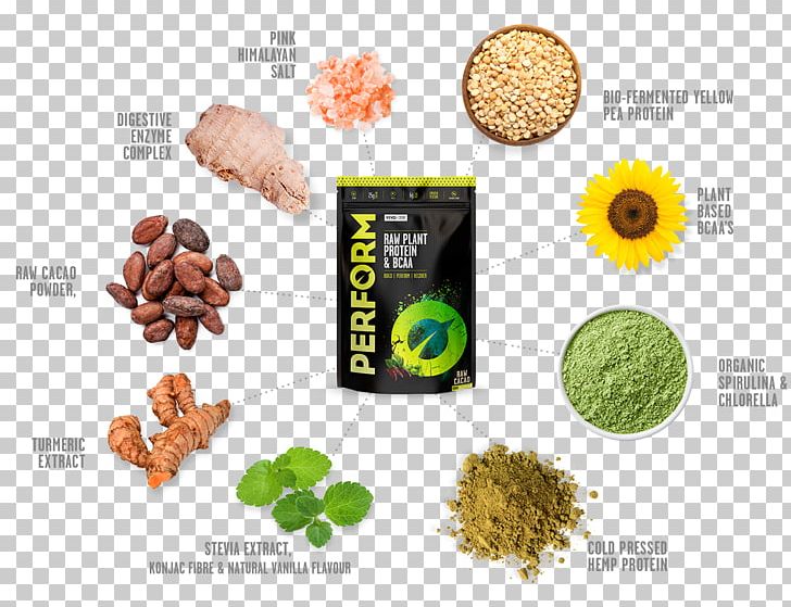 Raw Foodism Protein Veganism Bodybuilding Supplement Eiweißpulver PNG, Clipart, Bodybuilding Supplement, Branchedchain Amino Acid, Brand, Complete Protein, Food Free PNG Download
