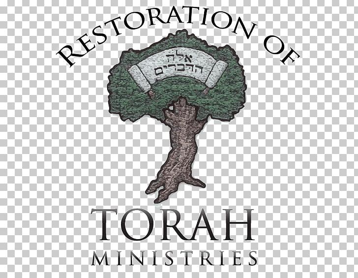 Weekly Torah Portion Devarim Ki Tissa Re'eh PNG, Clipart,  Free PNG Download