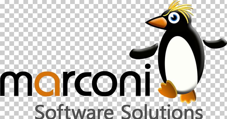Penguin Logo Computer Software Bird Font PNG, Clipart, Animals, Beak, Bird, Brand, Computer Software Free PNG Download