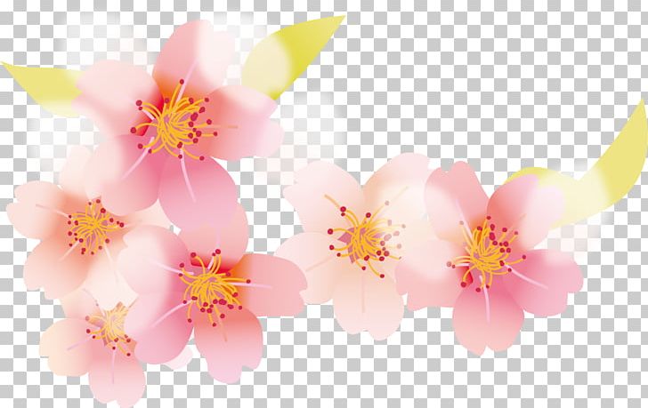 Cherry Blossom Petal PNG, Clipart, Adobe Illustrator, Artworks, Blossom, Branch, Cerasus Free PNG Download