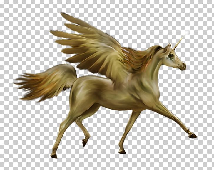 Howrse Horse Unicorn Pegasus PNG, Clipart, Adobe Illustrator, Deviantart, Encapsulated Postscript, Fauna, Fictional Character Free PNG Download
