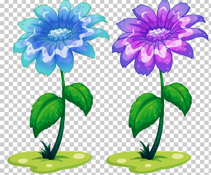 Plant PNG, Clipart, Artwork, Cut Flowers, Daisy, Drawing, Flower Free PNG Download