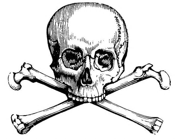 Skull And Bones Skull And Crossbones Human Skull Symbolism Calavera PNG, Clipart, Art, Artwork, Black And White, Bone, Calavera Free PNG Download