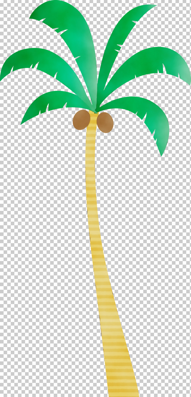 Palm Trees PNG, Clipart, Beach, Biology, Cartoon Tree, Leaf, Line Free PNG Download