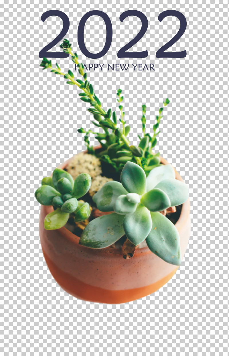 2022 Happy New Year 2022 New Year 2022 PNG, Clipart, Biology, Cactus, Flowerpot, Plant, Science Free PNG Download