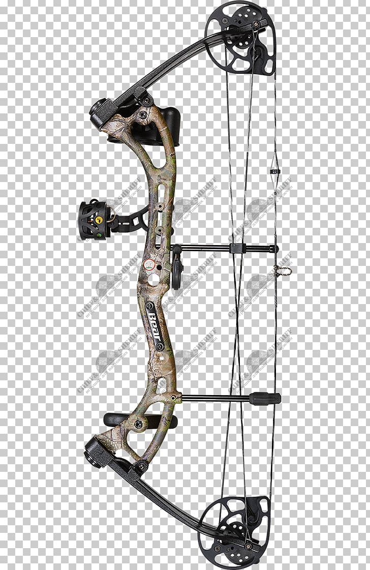 Bear Archery Compound Bows Bow And Arrow Hunting PNG, Clipart, Apprentice, Archery, Arrow, Bear, Bear Archery Free PNG Download