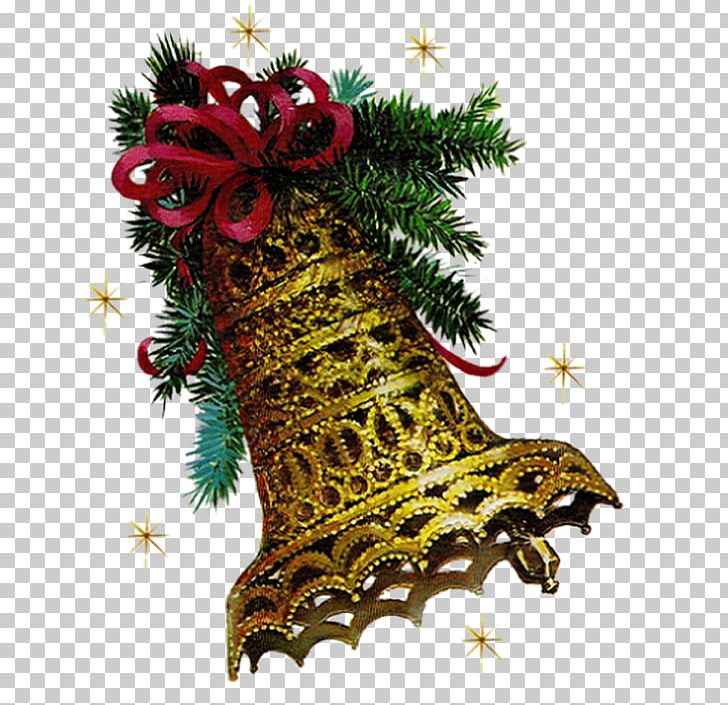 Christmas Tree Christmas Ornament Fir PNG, Clipart, Aunt, Christmas, Christmas Decoration, Christmas Ornament, Christmas Tree Free PNG Download