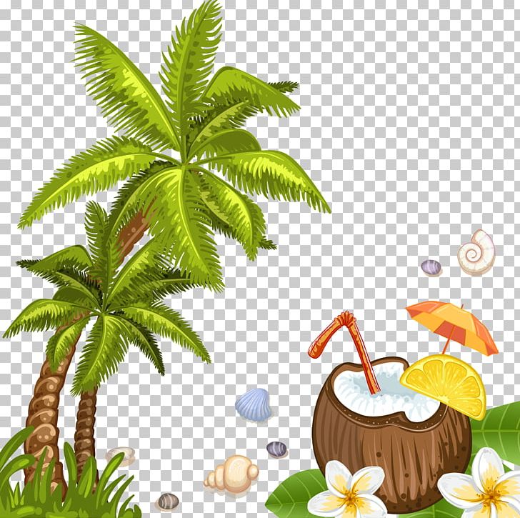 Coconut Water Beach Arecaceae PNG, Clipart, Are, Arecales, Beach, Christmas Tree, Coconut Free PNG Download