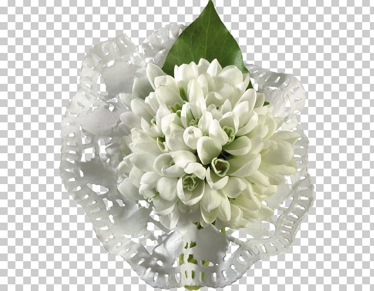 Flower Snowdrop Internet Forum PNG, Clipart, Animaatio, Artificial Flower, Birthday, Cut Flowers, Daytime Free PNG Download