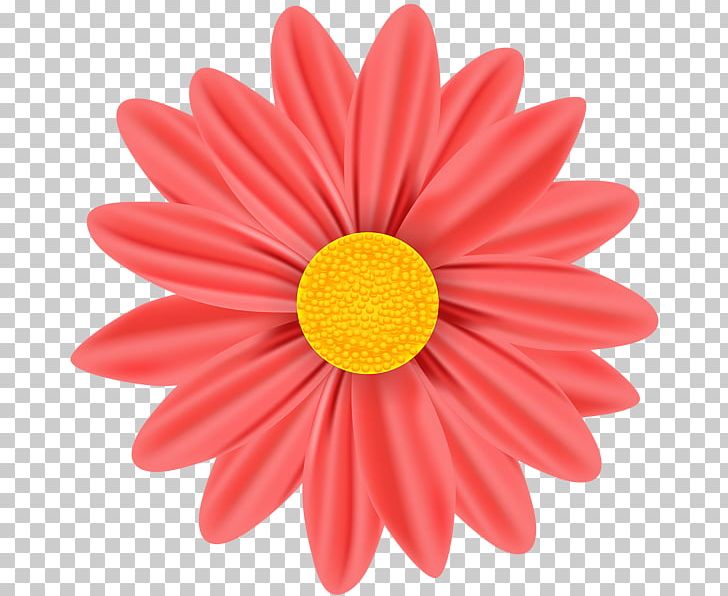 Graphics Illustration Stock Photography Stock.xchng PNG, Clipart, Chrysanths, Color, Cut Flowers, Daisy, Daisy Family Free PNG Download