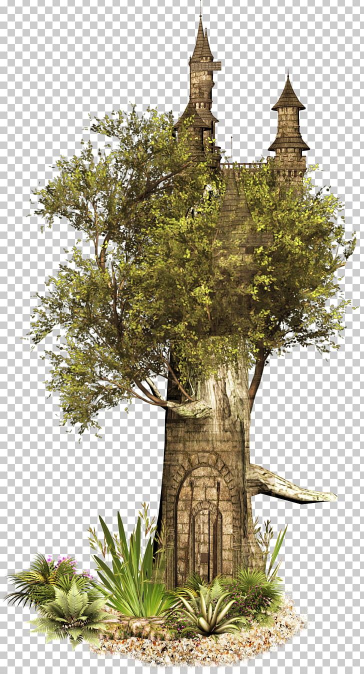 The Iron Knight Animation The Iron Fey Series Photography PNG, Clipart, Animation, Anime, Blog, Branch, Fantasy Free PNG Download
