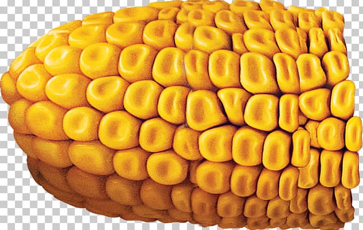 Corn On The Cob Finance Maize Price Money PNG, Clipart, Agriculture, Commodity, Corn Kernel, Corn Kernels, Corn On The Cob Free PNG Download