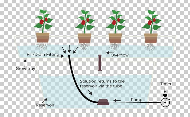 Hydroponic Tomatoes Hydroponics Ebb And Flow Greenhouse Garden PNG, Clipart, Aquaponics, Area, Brand, Cannabis Cultivation, Controlledenvironment Agriculture Free PNG Download