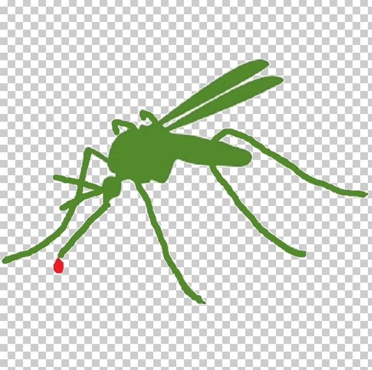 Mosquito Control Insect Pest Citronella Oil PNG, Clipart, Animal, Arthropod, Chemical Substance, Citronella Oil, Fly Free PNG Download