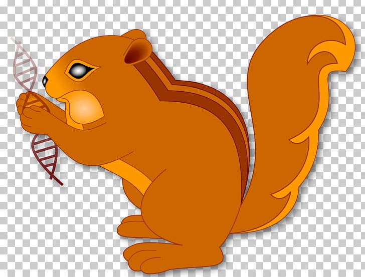 Whiskers Chipmunk Canidae Squirrel PNG, Clipart, Animals, Autosome, Big Cats, Bioinformatics, Brave Free PNG Download