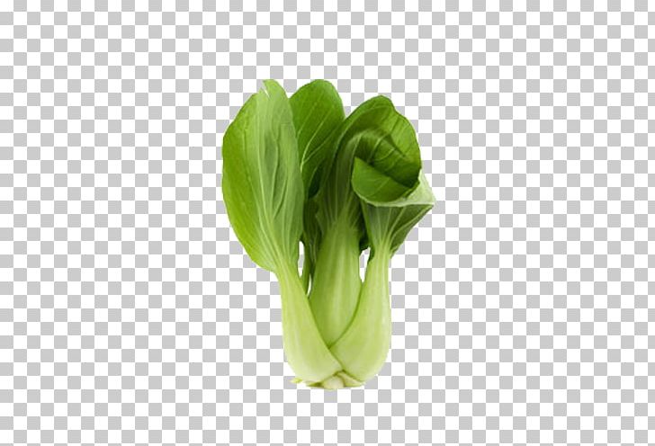 Bok Choy Chinese Cabbage PNG, Clipart, Basil, Bok Choy, Chinese Cabbage, Choy Sum, Collard Greens Free PNG Download