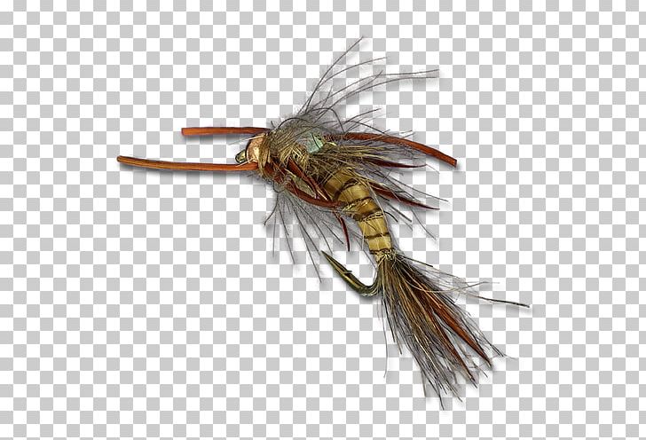 Insect Artificial Fly PNG, Clipart, Animals, Artificial Fly, Feather, Fishing Bait, Fly Free PNG Download