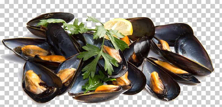 Vitamin B-12 Food B Vitamins Cobalamin PNG, Clipart, Alimento Saludable, Animal Source Foods, Clams Oysters Mussels And Scallops, Dish, Fish Free PNG Download