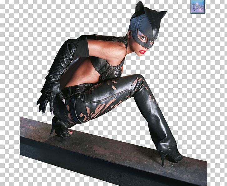Patience Phillips Graphics Photograph Warner Bros. PNG, Clipart, Bob Kane, Catwoman, Fictional Character, Halle Berry, Patience Phillips Free PNG Download