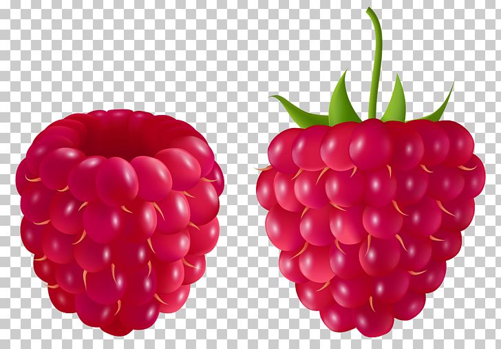 Raspberry Blackberry Fruit PNG, Clipart, Berry, Blackberry, Blue Raspberry Flavor, Boysenberry, Clipart Free PNG Download