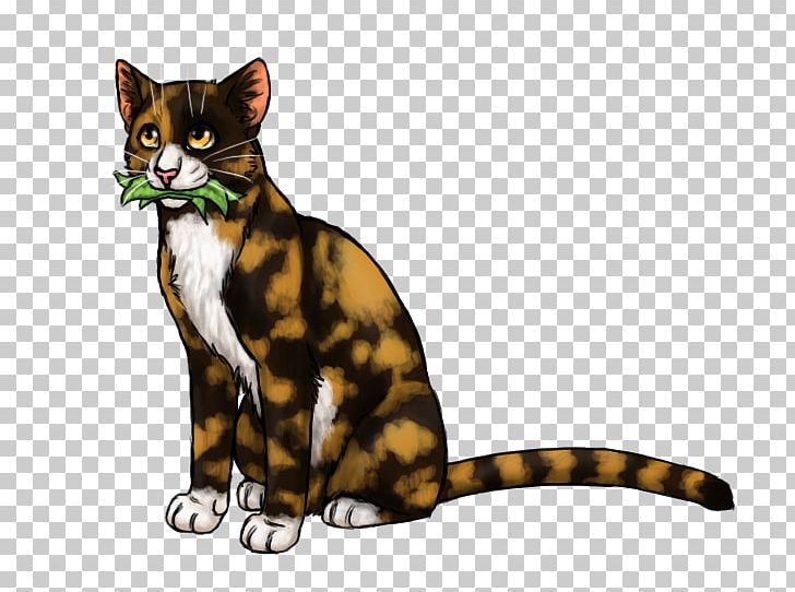 Whiskers Kitten Tabby Cat Warriors PNG, Clipart, Animals, Blossomfall, Carnivoran, Cat, Cat Like Mammal Free PNG Download