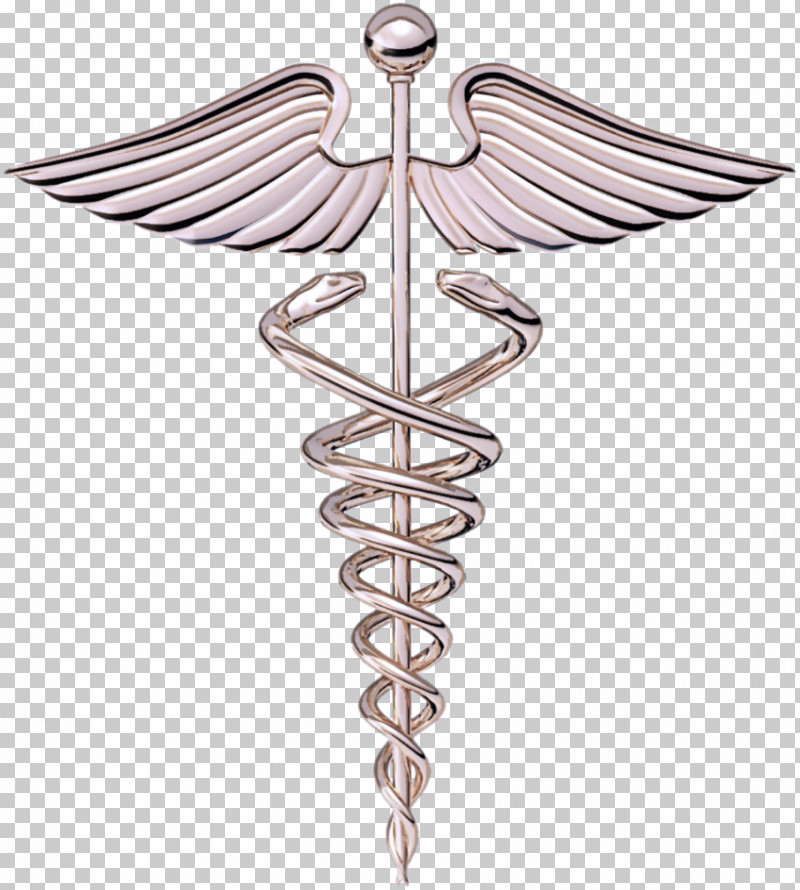 Wing Metal PNG, Clipart, Metal, Wing Free PNG Download