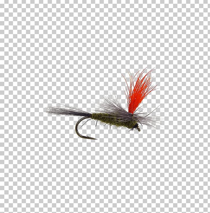 Artificial Fly Fly Fishing Hackles Insect PNG, Clipart, Artificial Fly, Cdc, Crane Fly, Fishing, Fishing Bait Free PNG Download