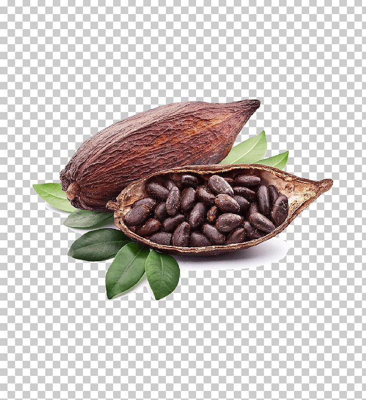 Criollo Cocoa Bean Cocoa Solids Chocolate Liquor PNG, Clipart, Antioxidant, Beans, Chocolate, Chocolate Liquor, Chocolates Valor Sa Free PNG Download