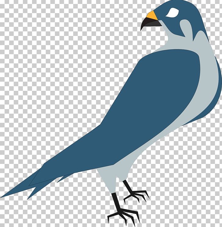 Hawk Eagle PNG, Clipart, Acridotheres, Animals, Beak, Bird, Bird Of Prey Free PNG Download