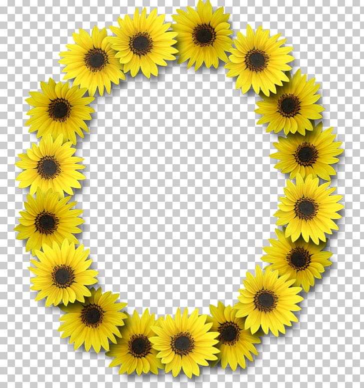 Letter Case Alphabet Common Sunflower PNG, Clipart, Alphabet, Common Sunflower, Daisy Family, Digital Scrapbooking, Flower Free PNG Download