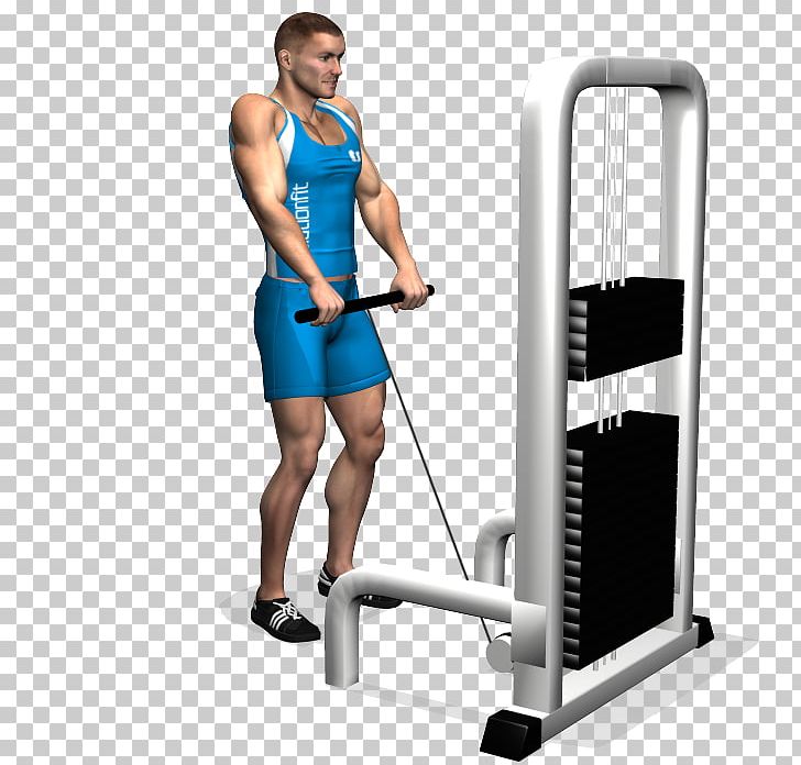 Shoulder Shrug Trapezius Dumbbell Exercise PNG, Clipart, Abdomen, Arm, Barbell, Bench, Calf Free PNG Download