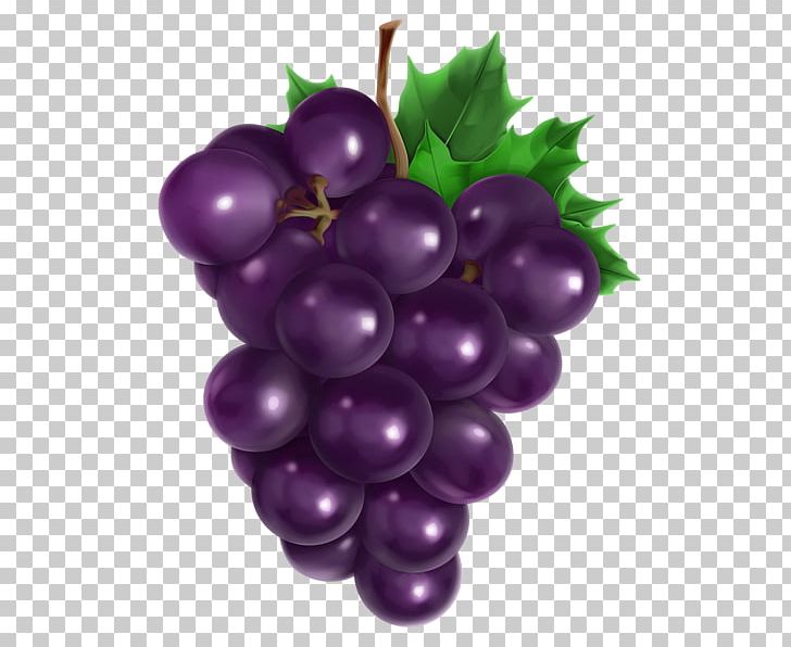 Common Grape Vine Grape Seed Oil Avocado Oil PNG, Clipart, Balloon Cartoon, Berry, Cartoon, Cartoon Character, Cartoon Cloud Free PNG Download