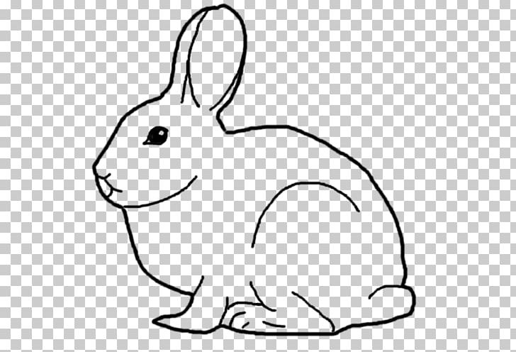 Domestic Rabbit Hare Whiskers PNG, Clipart, Abcd, Animal Figure, Artwork, Black, Black And White Free PNG Download