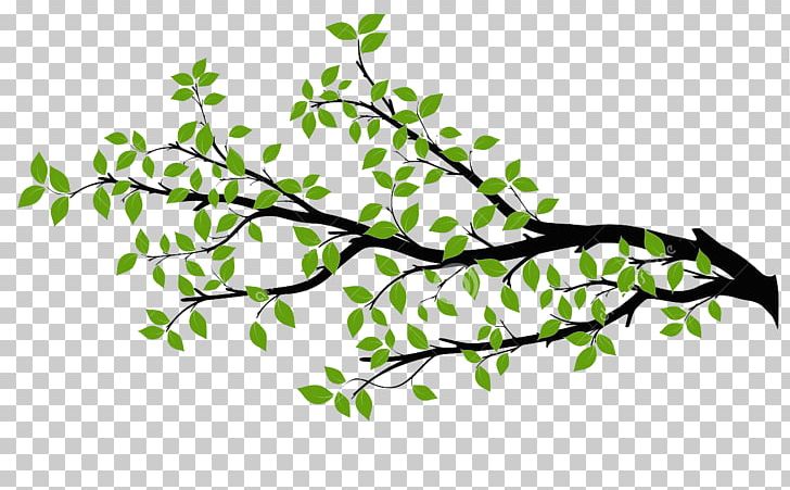 Branch Tree Drawing PNG, Clipart, Art, Branch, Drawing, Flora, Flower Free PNG Download