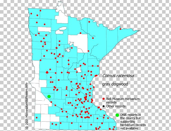 Map Line Point Swamp Milkweed Angle PNG, Clipart, Angle, Animal, Area, Canary Grass, Cornus Free PNG Download