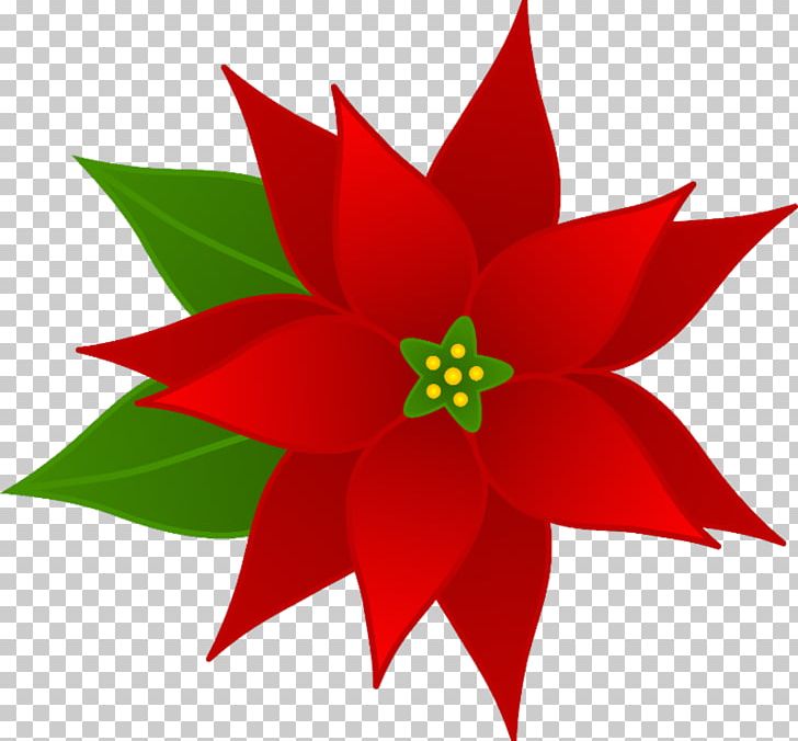 Christmas Poinsettia Open Joulukukka PNG, Clipart, Art, Christmas Day, Christmas Tree, Download, Flora Free PNG Download