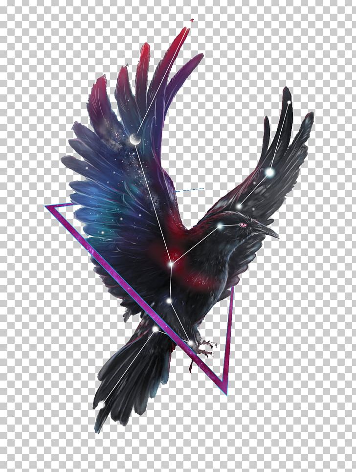 Common Raven Bird PNG, Clipart, Agile, Animal, Animals, Art, Beak Free PNG Download