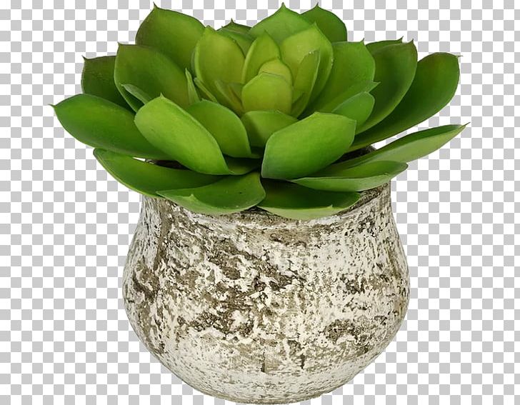 Flowerpot Succulent Plant Echeveria PNG, Clipart, Artificial, Artificial Flower, Cactaceae, Ceramic, Decorative Free PNG Download