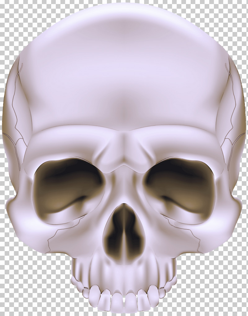 Bone Skull Face Head Jaw PNG, Clipart, Bone, Face, Forehead, Head, Jaw Free PNG Download