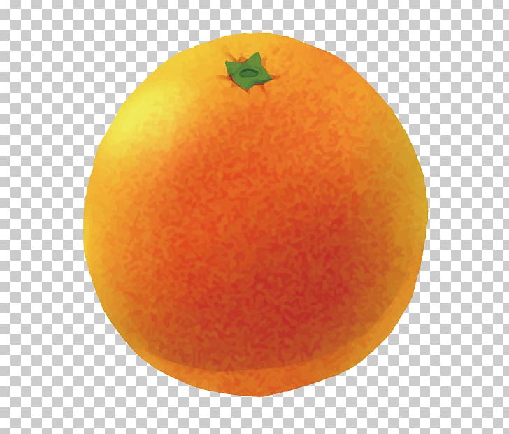 Clementine Grapefruit Mandarin Orange Tangerine Tangelo PNG, Clipart, Acid, Balloon Cartoon, Boy Cartoon, Cartoon, Cartoon Character Free PNG Download