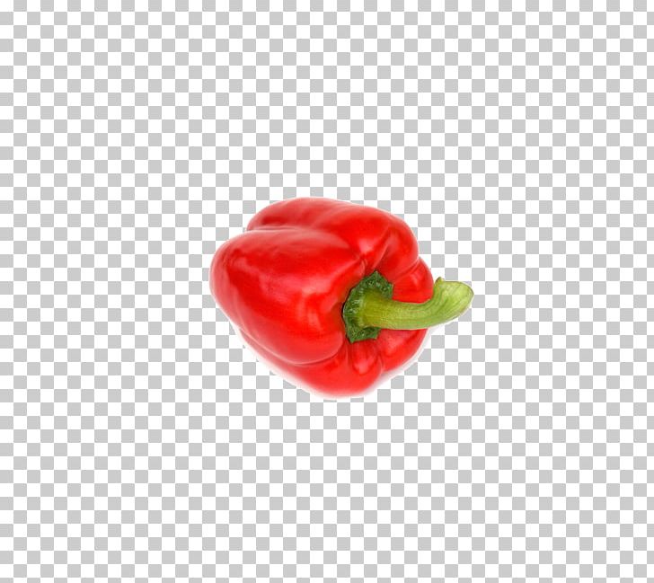 Habanero Chili Pepper Bell Pepper Cayenne Pepper Barbecue PNG, Clipart, Bell Peppers And Chili Peppers, Capsicum, Capsicum Annuum, Food, Grilling Free PNG Download