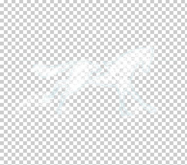 White Black Angle Pattern PNG, Clipart, Angle, Animals, Black, Black And White, Circle Free PNG Download